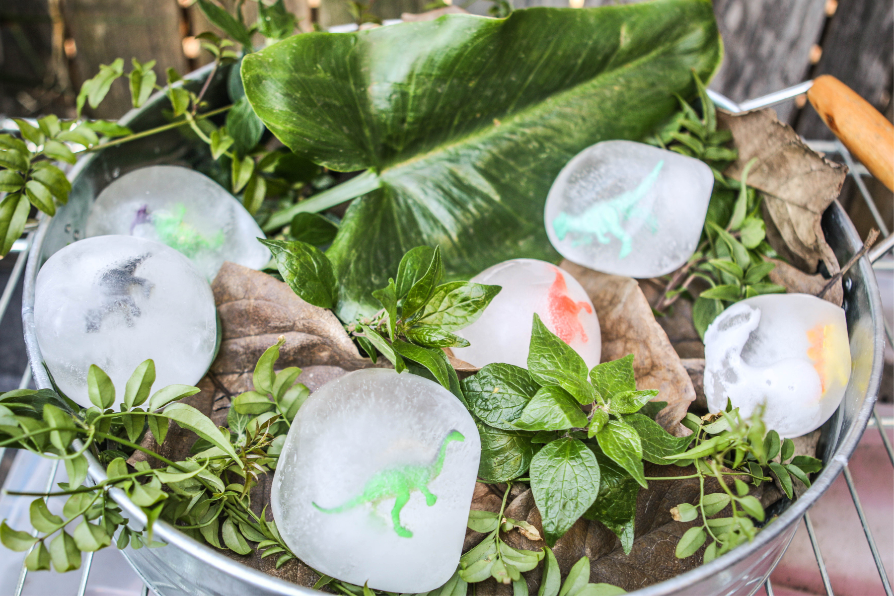 Frozen dinosaur eggs for playgroup sensory play